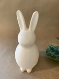 Kids Bunny (Bunny Sitting Down)