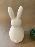 Kids Bunny (Bunny Sitting Down)