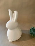 Kids Bunny (Bunny Sitting Down)