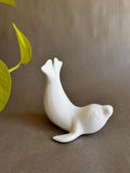 Kids Seal