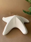Kids Starfish